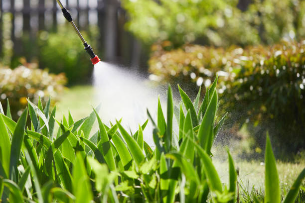 24/7 Emergency Mosquito Control experts in Lakefield, MN